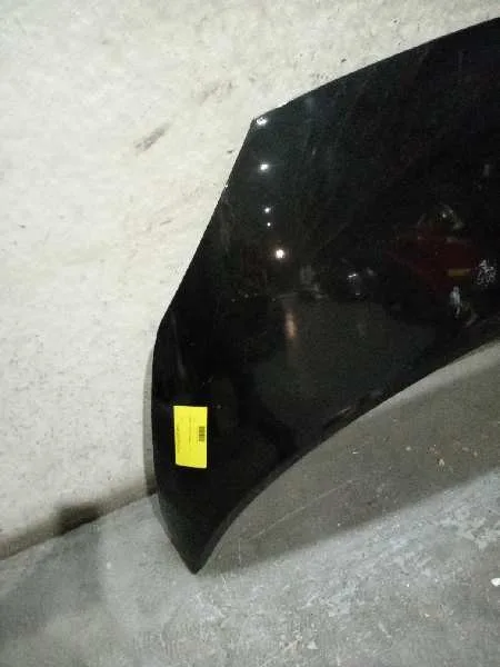 Capot para Renault Scenic Ii