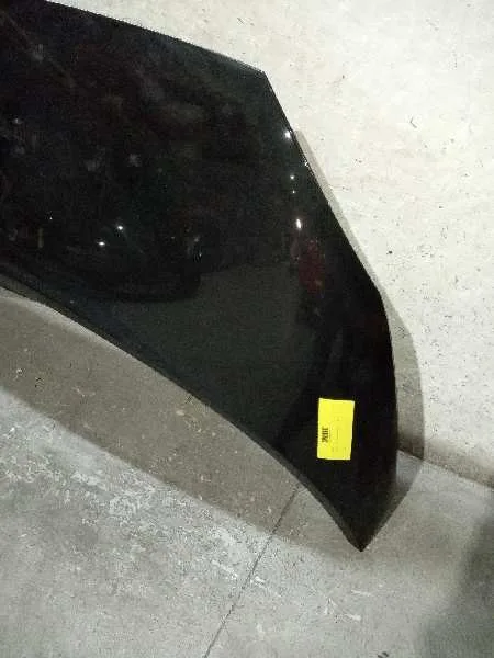 Capot para Renault Scenic Ii