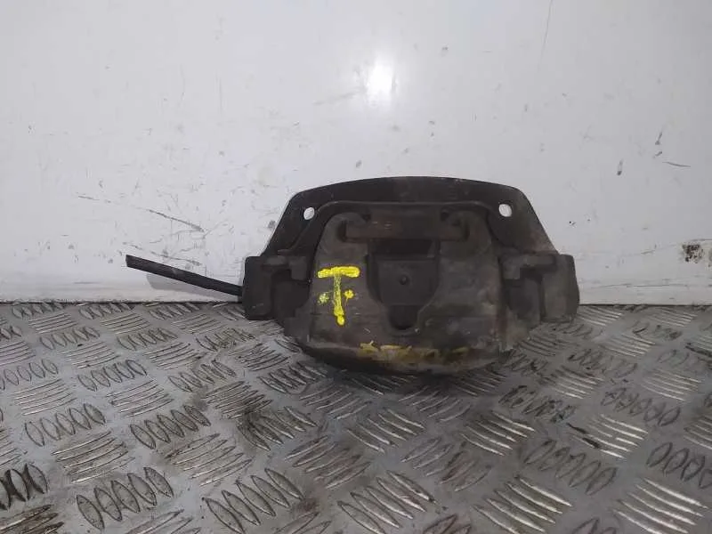 Pinza Freno Delantera Izquierda para Bmw X5 (E53)