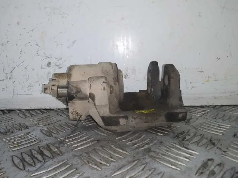 Pinza Freno Trasera Izquierda para Bmw X5 (E53)