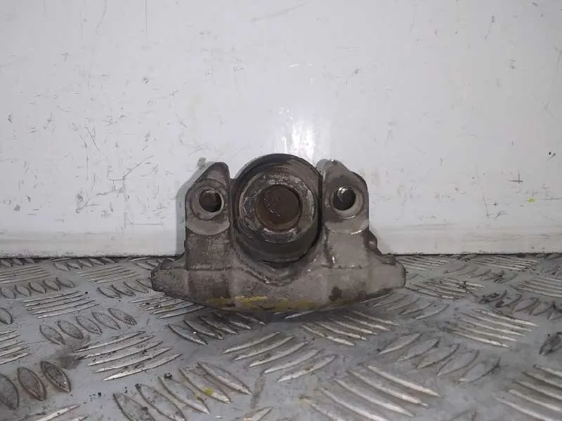 Pinza Freno Trasera Derecha para Bmw X5 (E53)