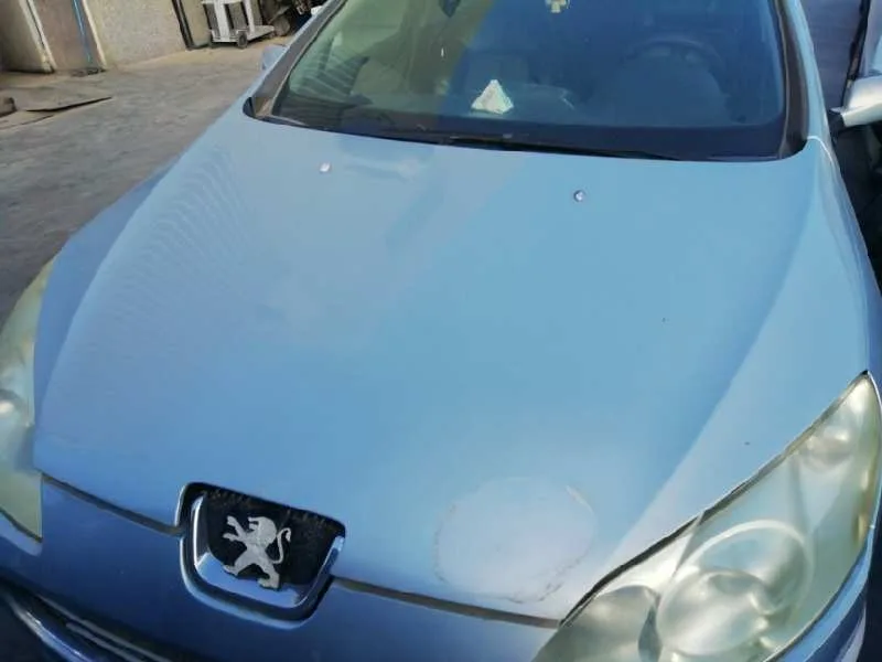 Capot para Peugeot 407
