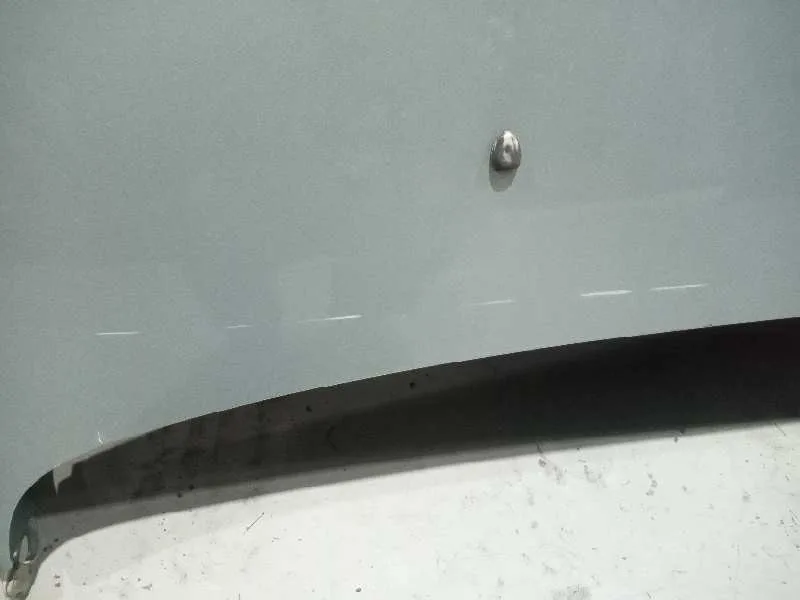Capot para Peugeot 407