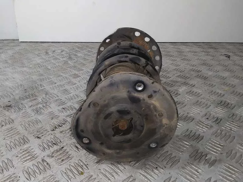 Amortiguador Delantero Derecho para Ford Galaxy (Ca1)