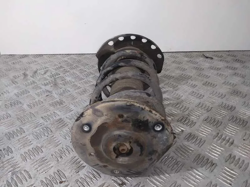 Amortiguador Delantero Izquierdo para Ford Galaxy (Ca1)