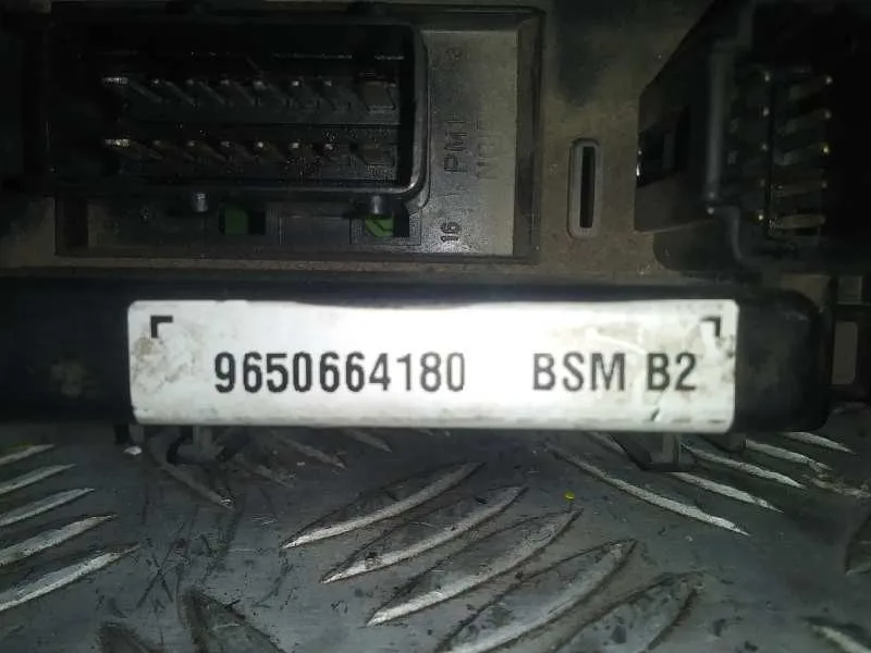 Centralita Bsm para Peugeot 307 (S1)
