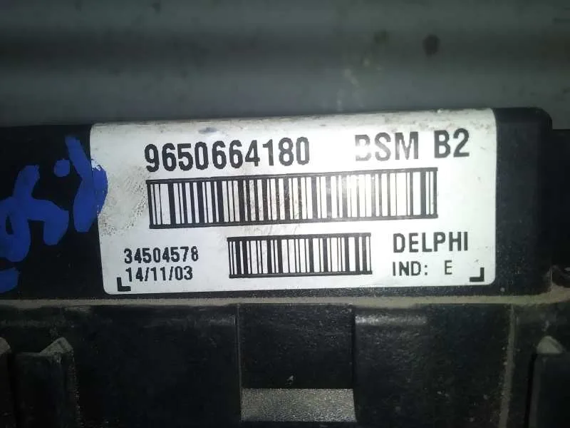Centralita Bsm para Peugeot 307 (S1)