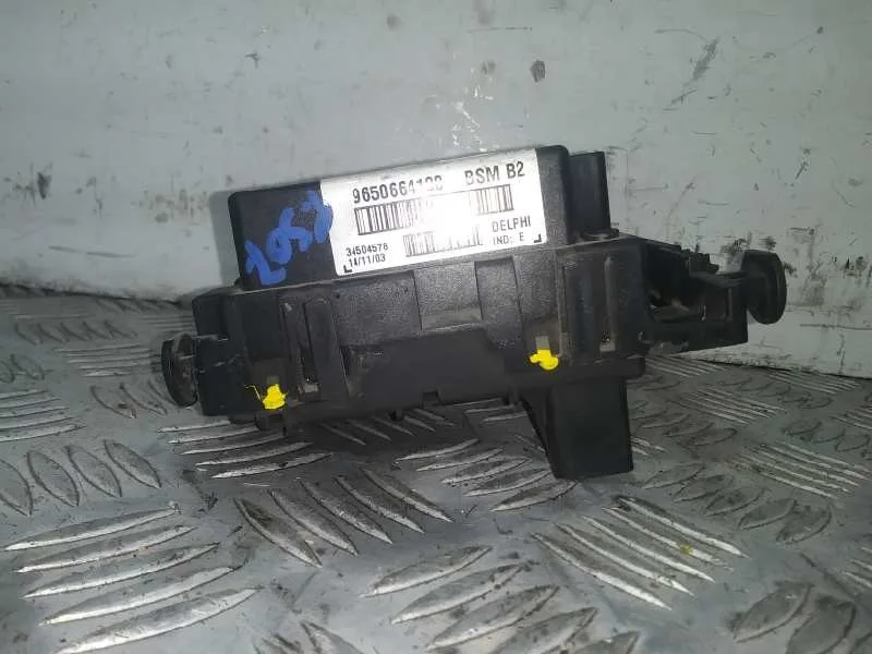 Centralita Bsm para Peugeot 307 (S1)