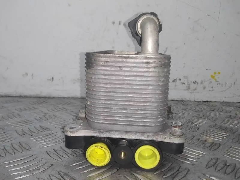 Enfriador Aceite Motor para Bmw Serie 5 Berlina (E60)