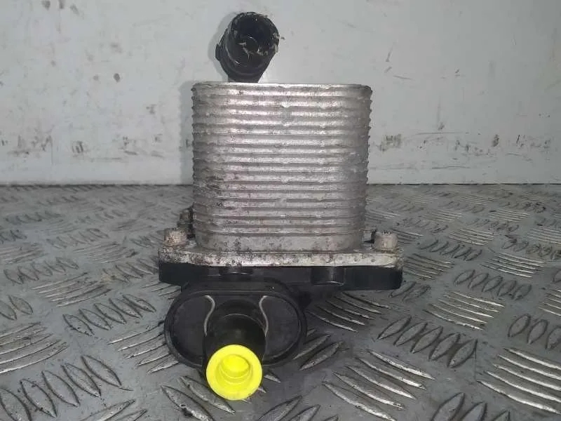 Enfriador Aceite Motor para Bmw Serie 5 Berlina (E60)
