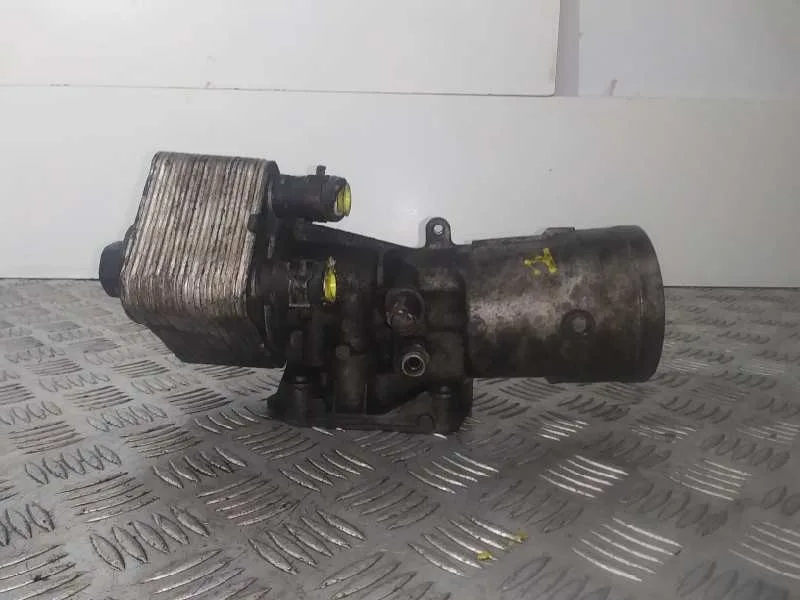 Enfriador Aceite Motor para Volkswagen Passat Berlina (3C2)