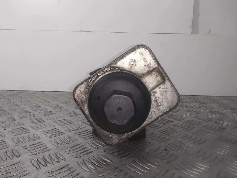 Enfriador Aceite Motor para Volkswagen Passat Berlina (3C2)