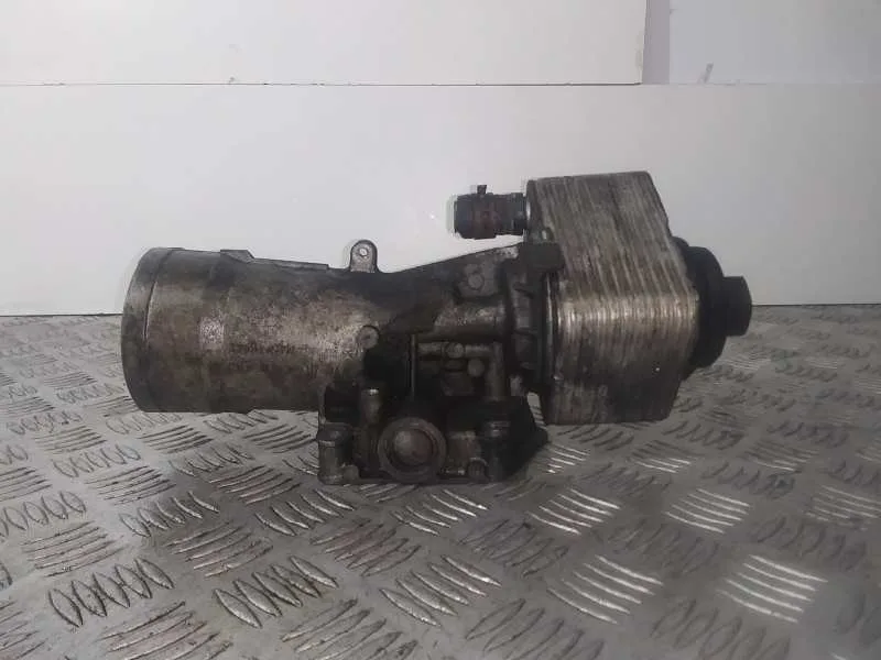 Enfriador Aceite Motor para Volkswagen Passat Berlina (3C2)
