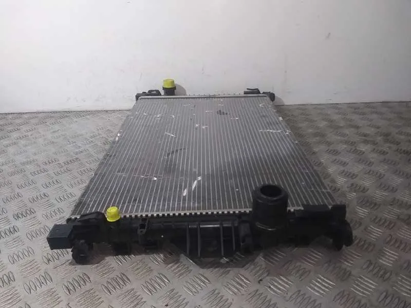 Radiador Agua para Land Rover Evoque