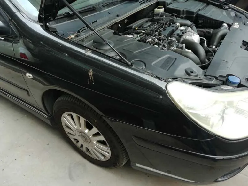 Aleta Delantera Derecha para Citroën C5 Berlina