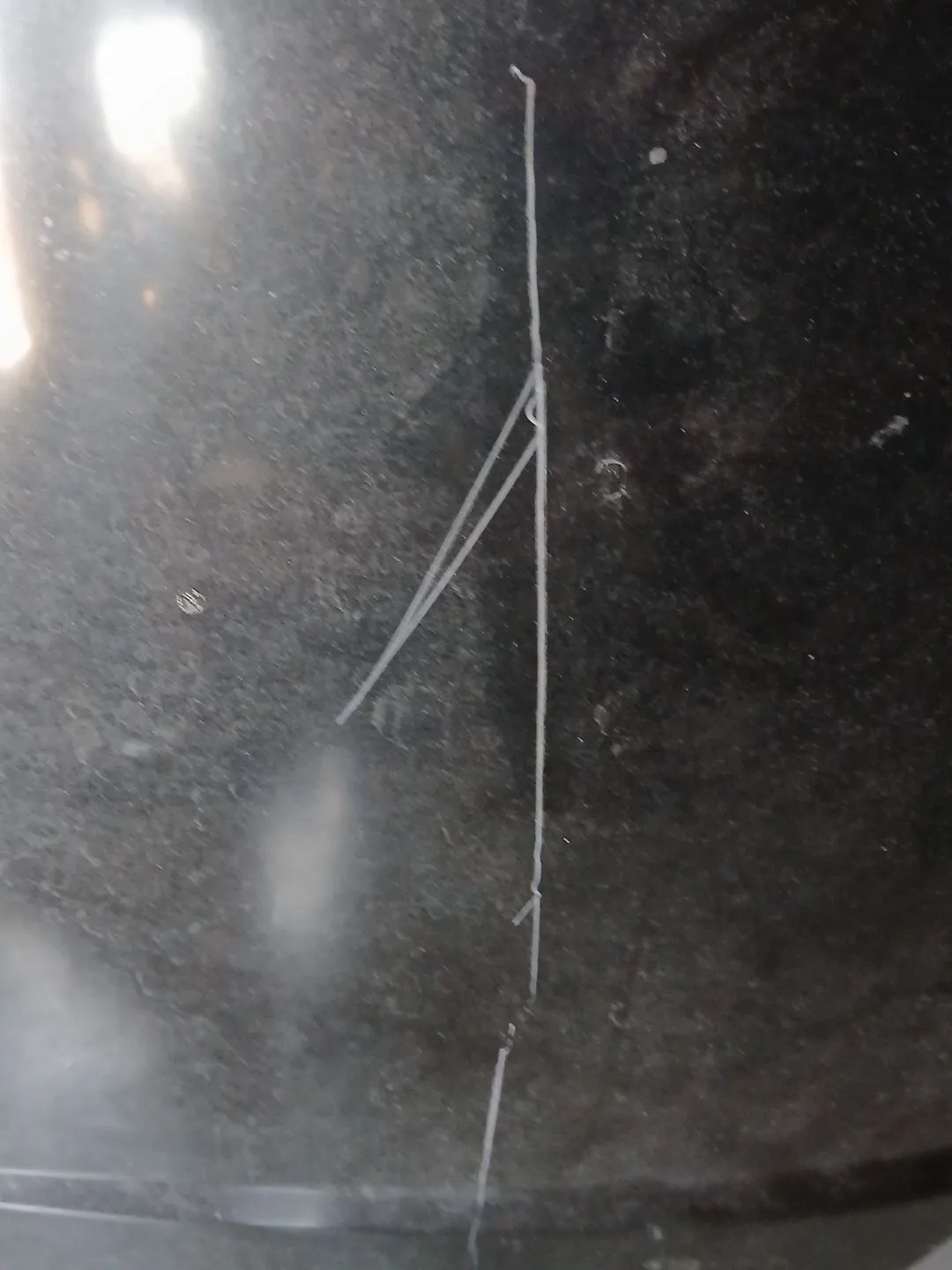 Capot para Citroën C5 Berlina