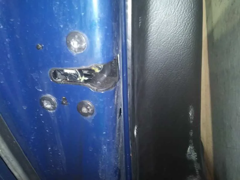 Puerta Trasera Izquierda para Citroën C4 Picasso