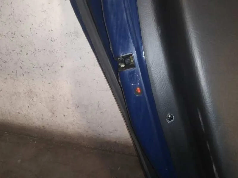 Puerta Trasera Izquierda para Citroën C4 Picasso