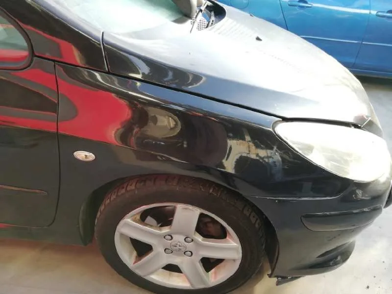 Aleta Delantera Derecha para Peugeot 307 Cc (S2)