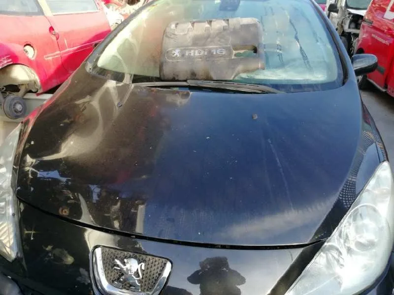 Capot para Peugeot 307 Cc (S2)
