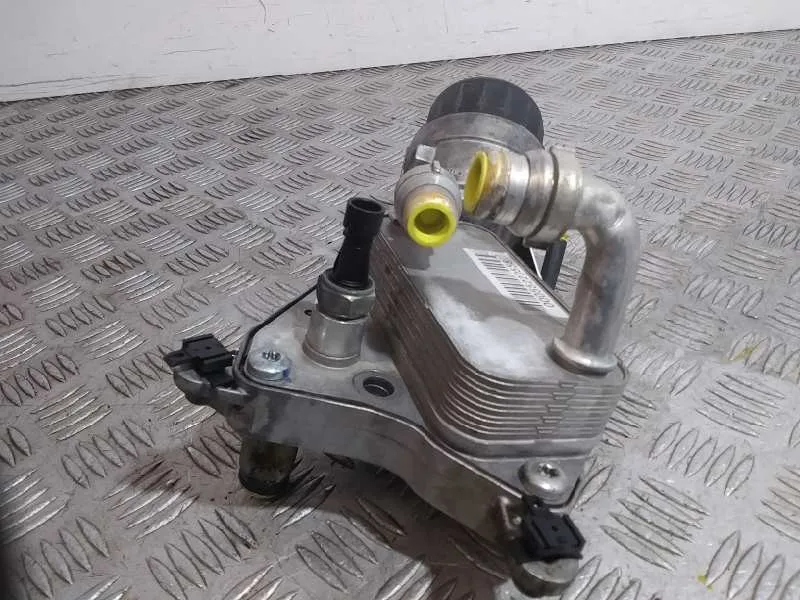 Enfriador Aceite Motor para Fiat Bravo (198)