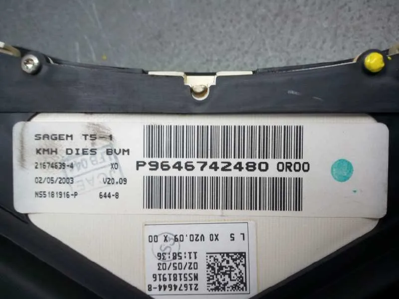 Cuadro Instrumentos para Peugeot 307 Break / Sw (S1)