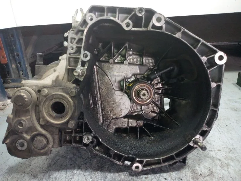 Caja Cambios para Fiat Bravo (198)