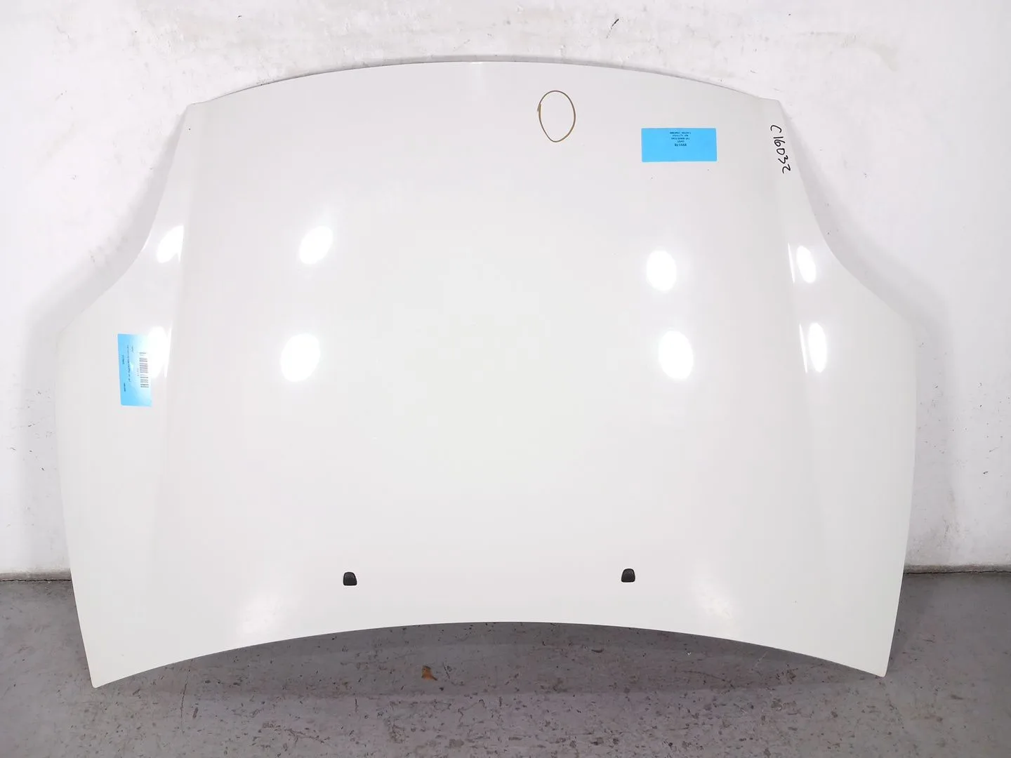 Capot para Fiat Bravo (198)