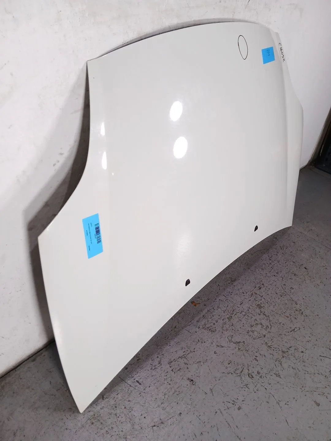 Capot para Fiat Bravo (198)