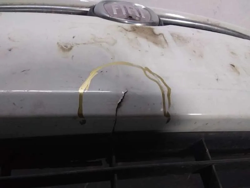 Paragolpes Delantero para Fiat Bravo (198)