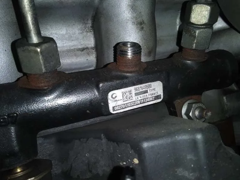 Rampa Inyectora para Peugeot 407