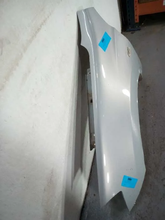 Aleta Delantera Izquierda para Nissan Qashqai (J10)