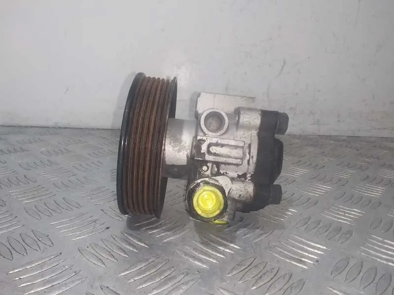 Bomba Direccion para Hyundai Getz (Tb)