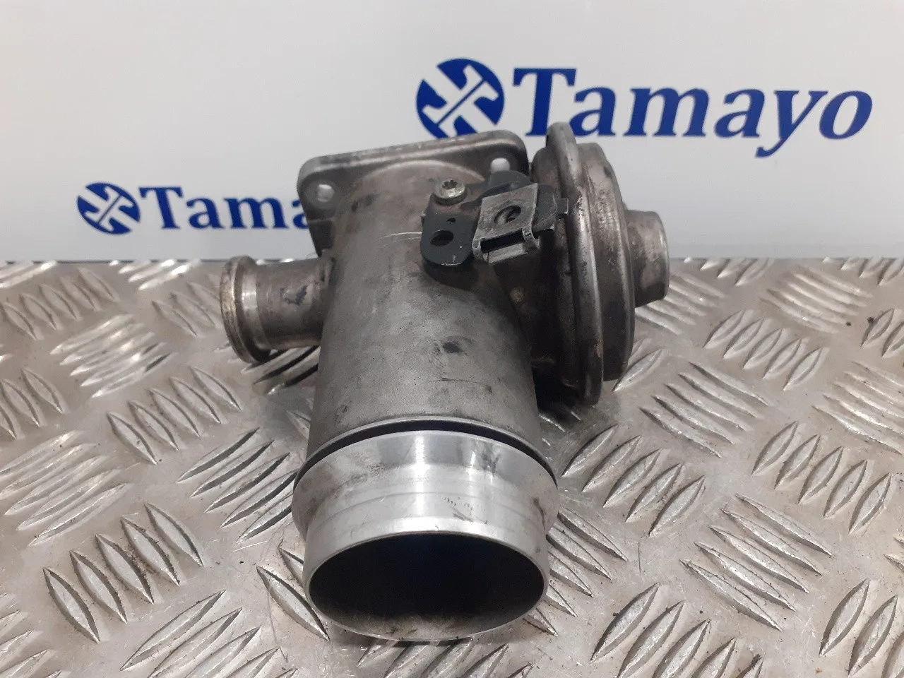 Valvula Egr para Bmw X3 (E83)