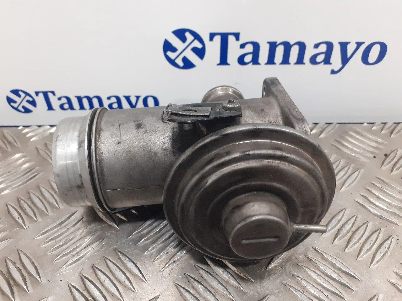 Valvula Egr para Bmw X3 (E83)