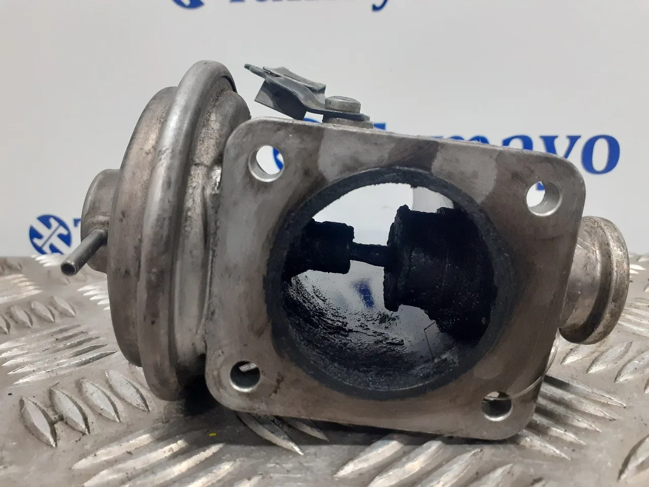 Valvula Egr para Bmw X3 (E83)