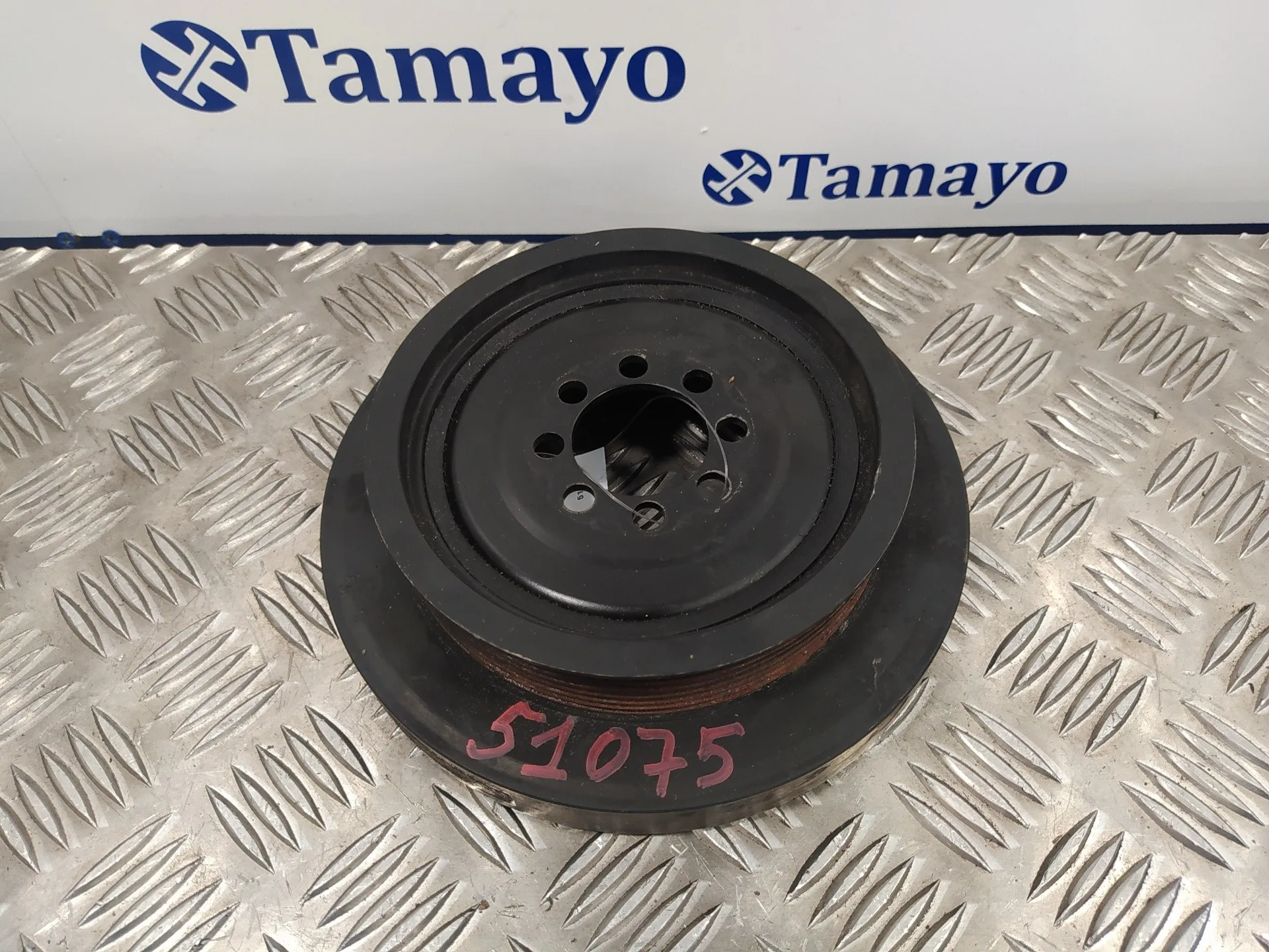 Polea Ciguenal para Bmw X3 (F25)