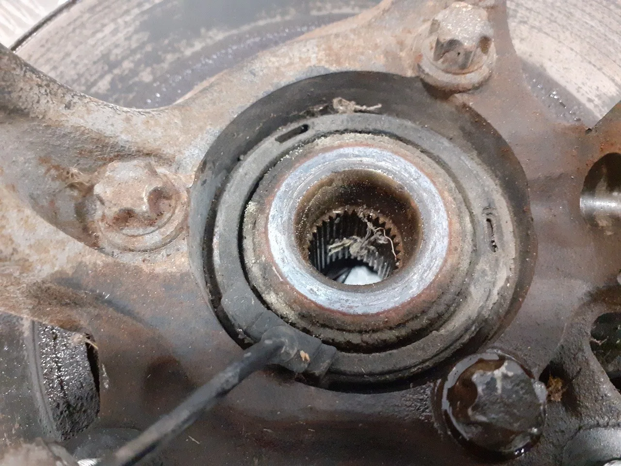 Mangueta Delantera Derecha para Opel Astra H Ber.