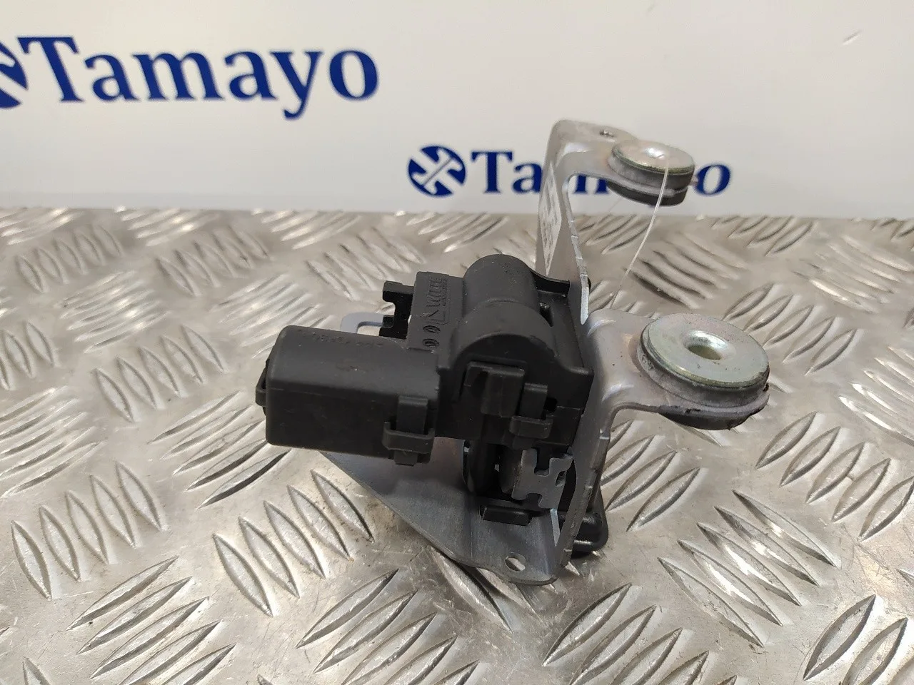 Cerradura Maletero / Porton para Bmw Serie 3 Touring (F31)