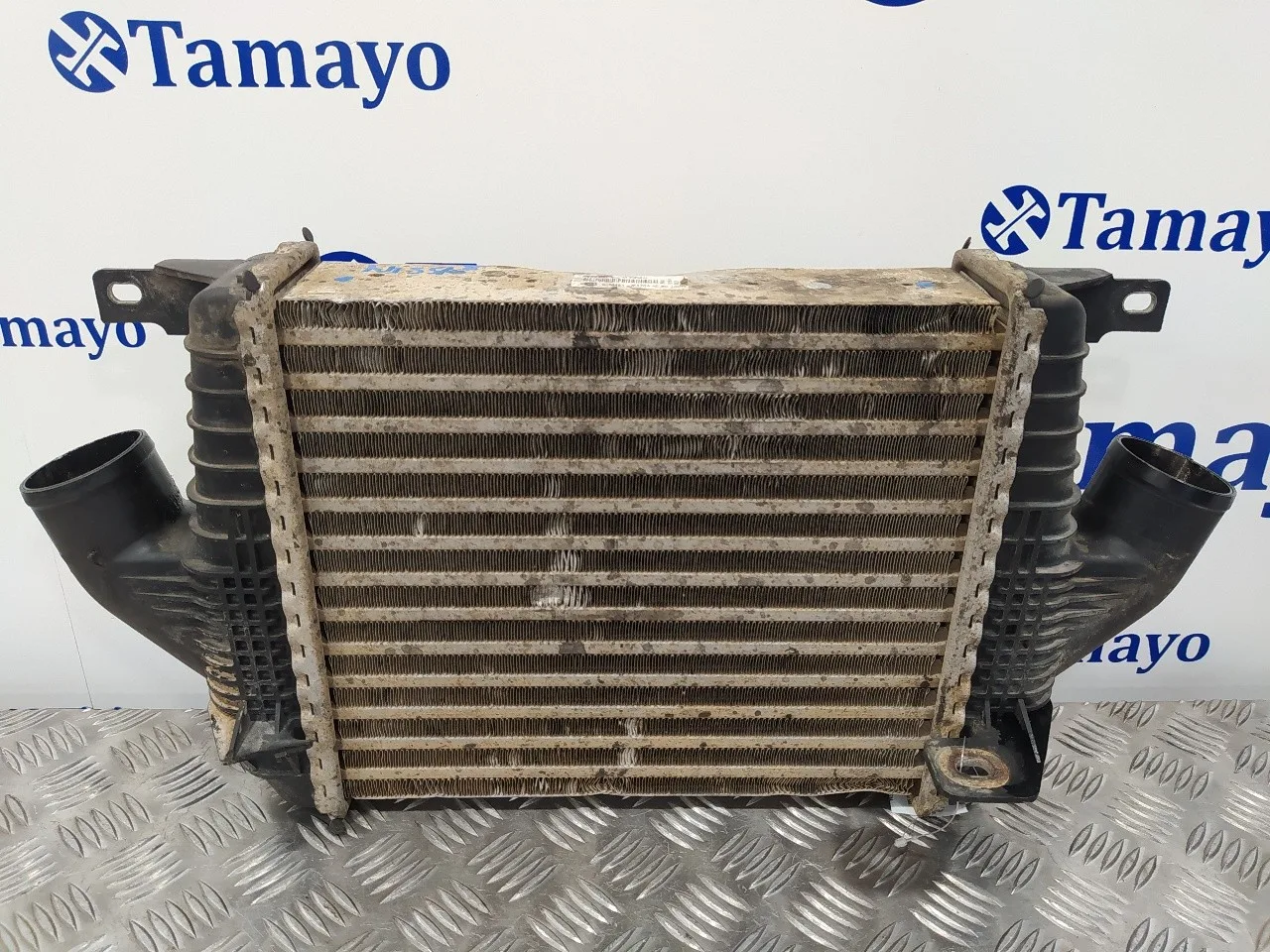 Intercooler para Nissan Cabstar ->09.06