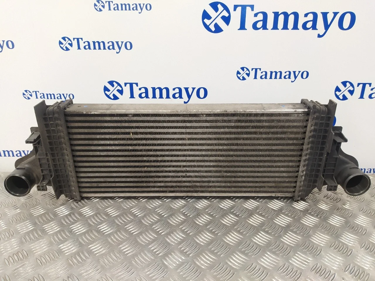 Intercooler para Mercedes-Benz Clase R (W251)