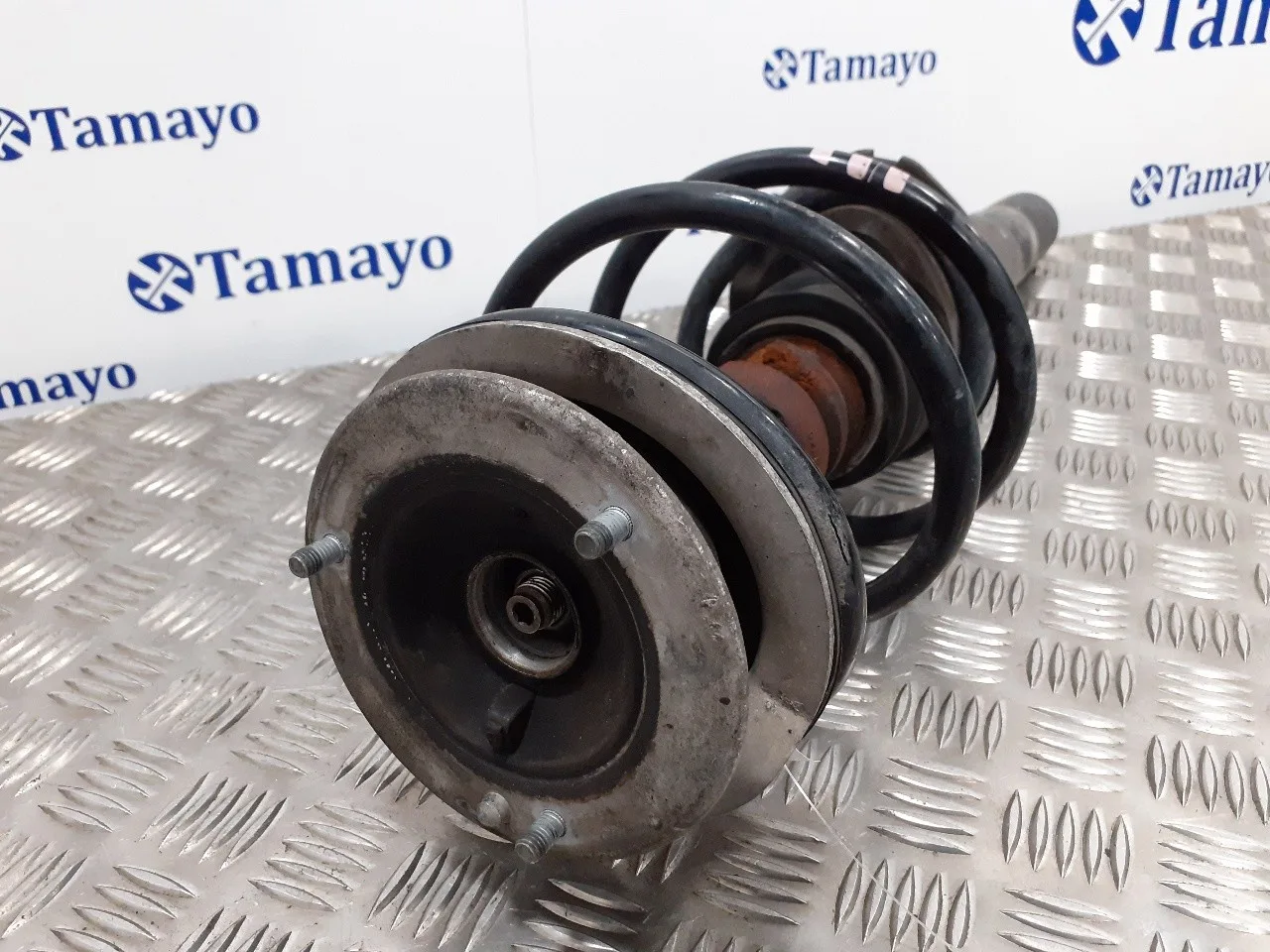 Amortiguador Delantero Izquierdo para Bmw Serie 5 Berlina (E39)