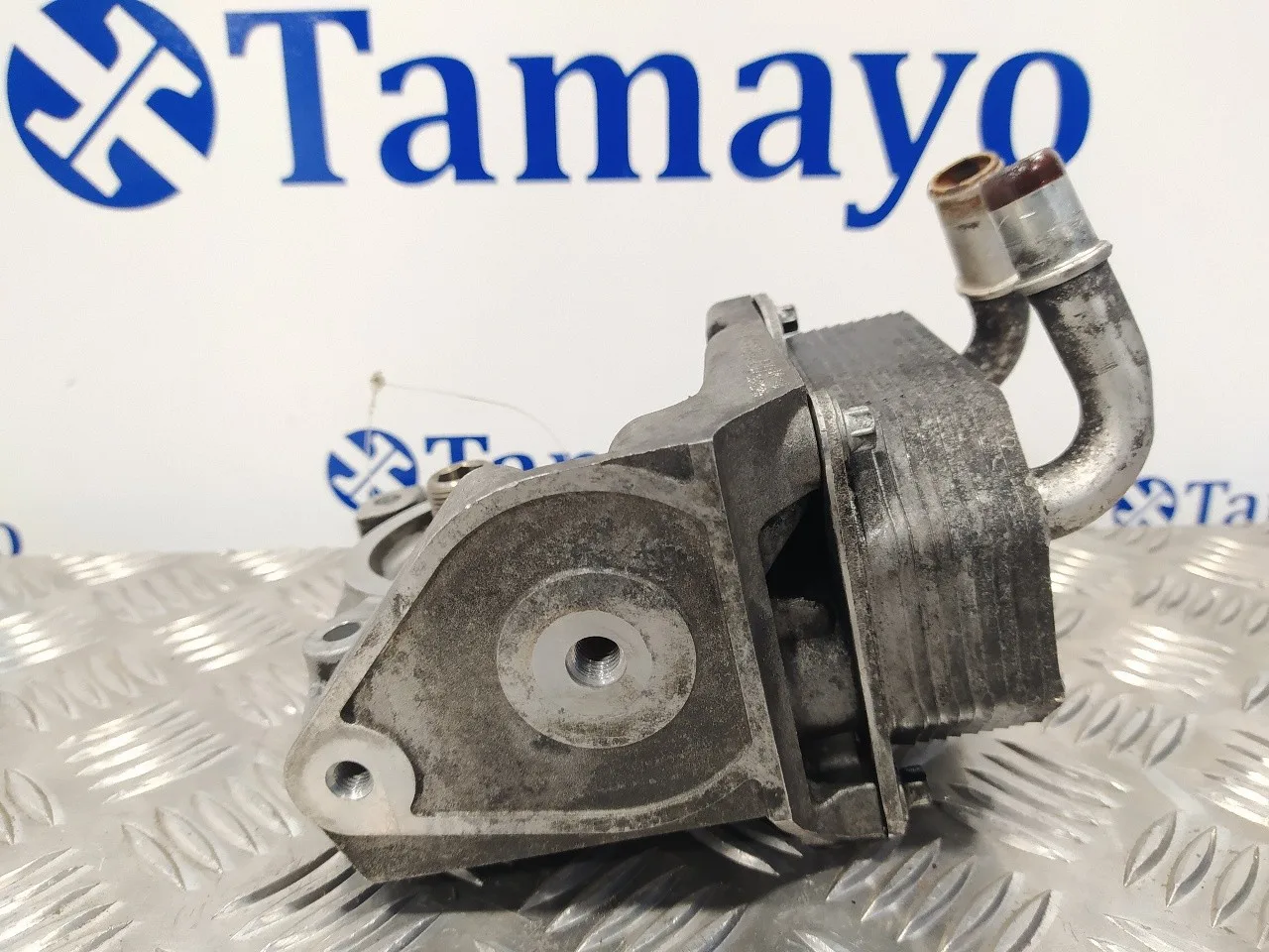 Enfriador Aceite Motor para Ford Mondeo Ber. (Ca2)