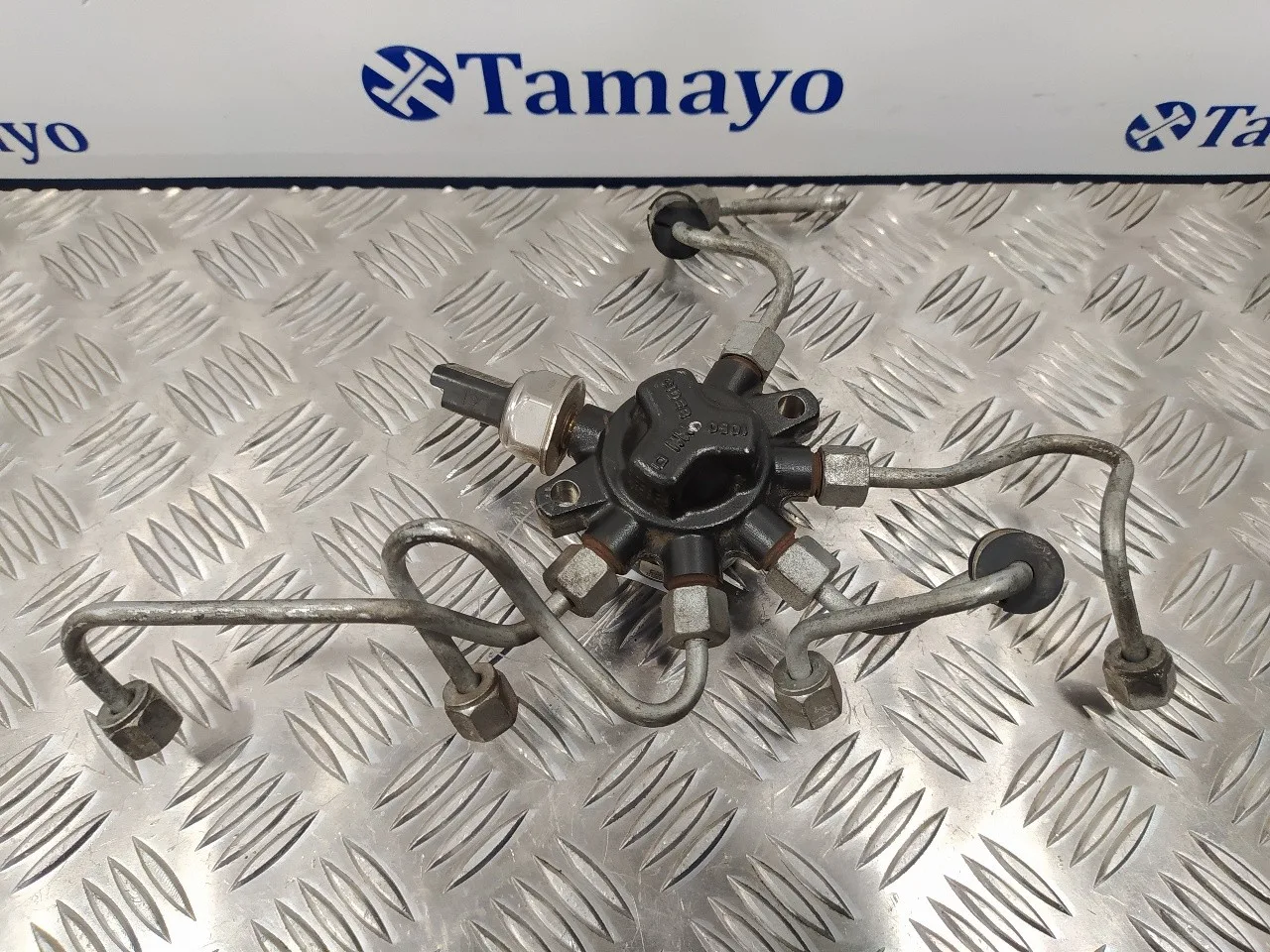 Rampa Inyectora para Ford Mondeo Ber. (Ca2)
