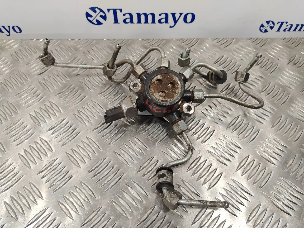 Rampa Inyectora para Ford Mondeo Ber. (Ca2)