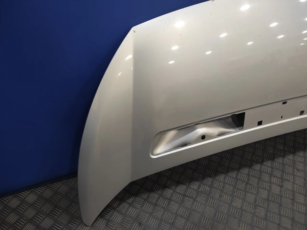 Capot para Fiat Scudo Combi (272)