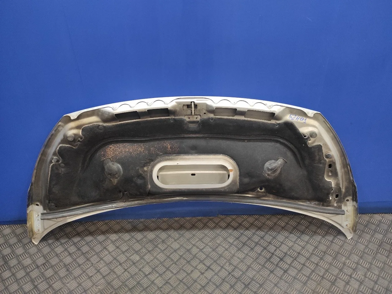 Capot para Fiat Scudo Combi (272)
