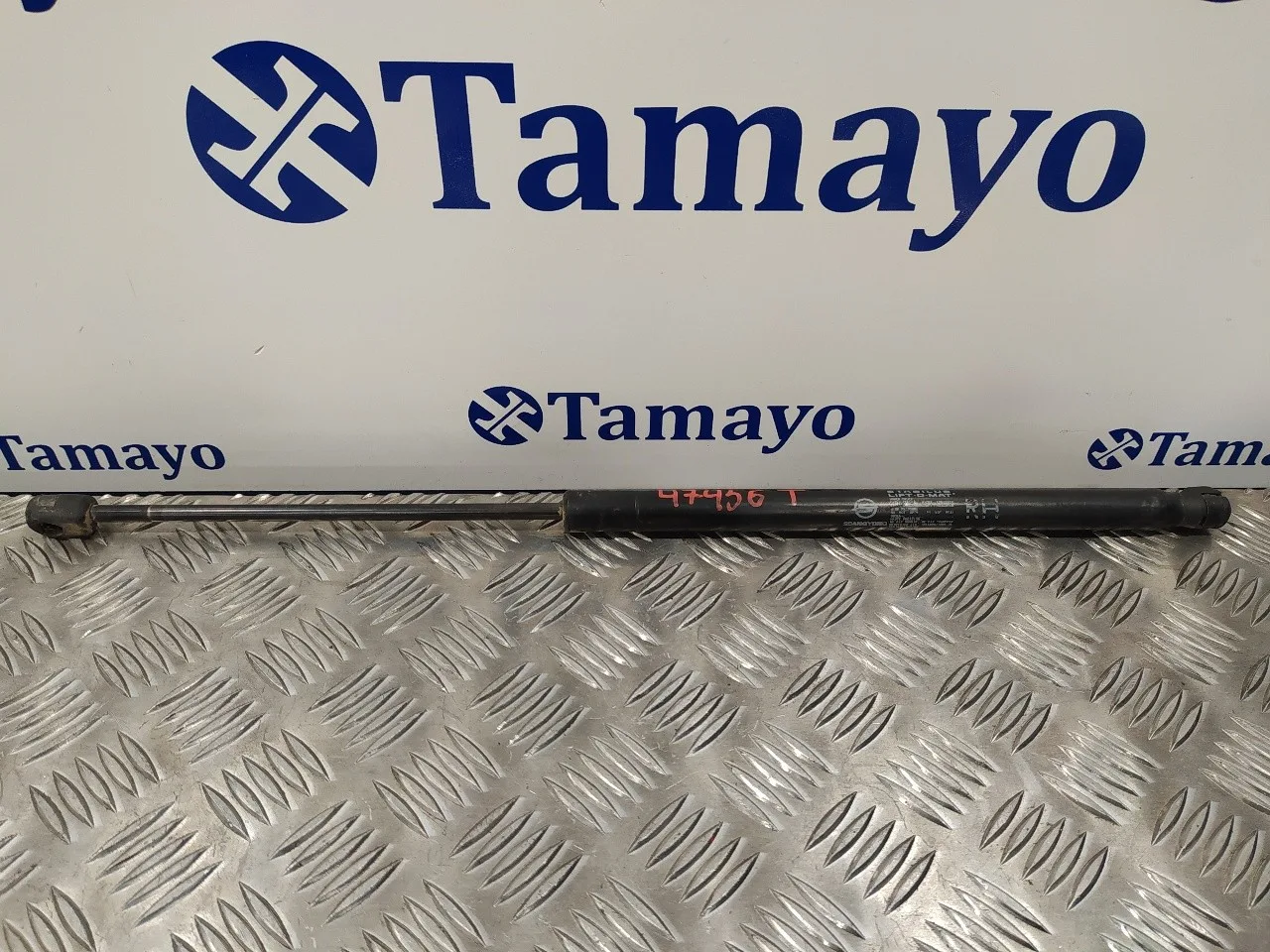 Amortiguadores Maletero / Porton para Ssangyong Kyron