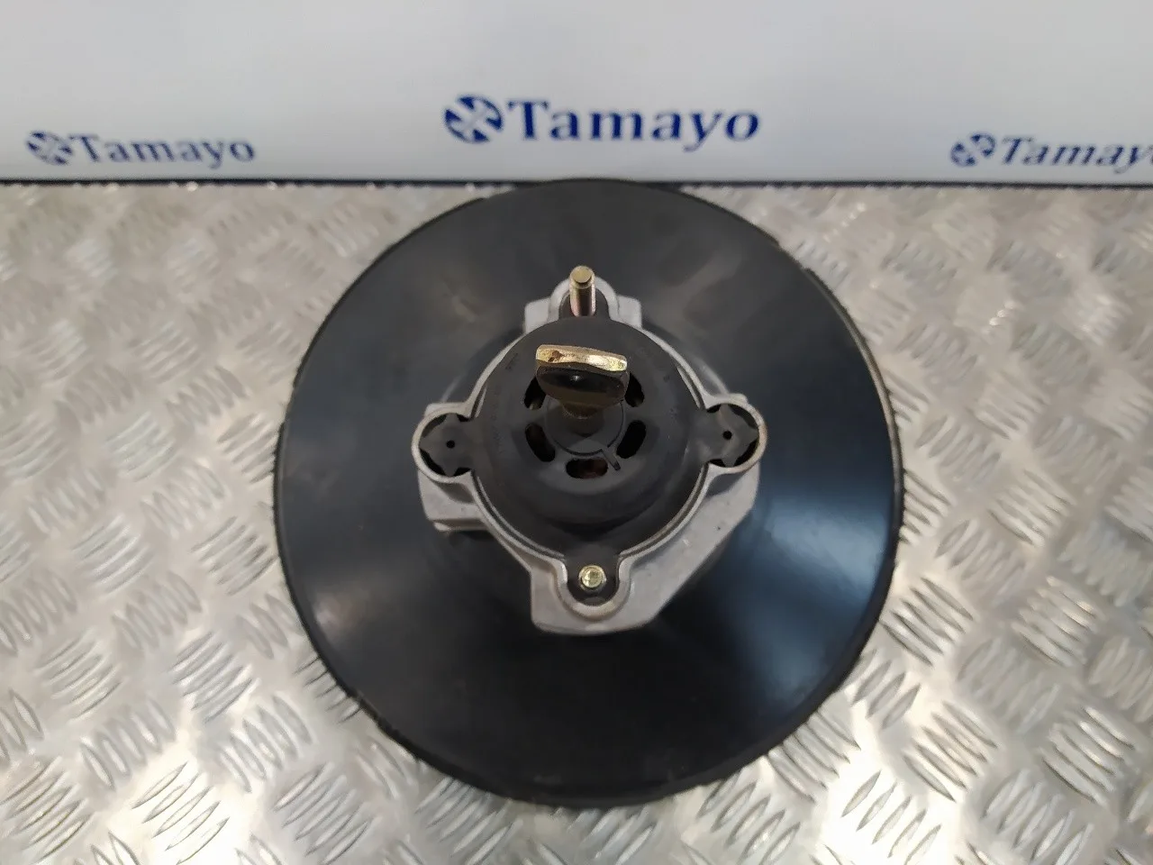 Servofreno para Bmw Mini (R50,R53)