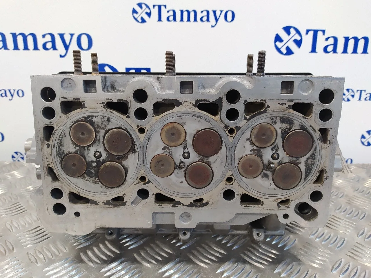 Culata para Audi A4 Berlina (8E)